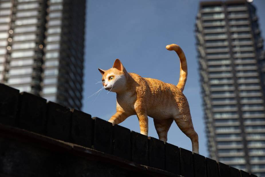 Dreamies e ARTS-CARL com uma ideia de guloseima para gatos Arte Urbana