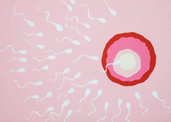 Corrida microscópica fertilidade
