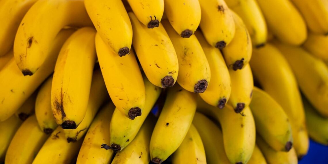 bananas em extinção